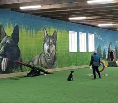 Agility sezóna 2026 odstartována v Rokytnici v Orlických horách