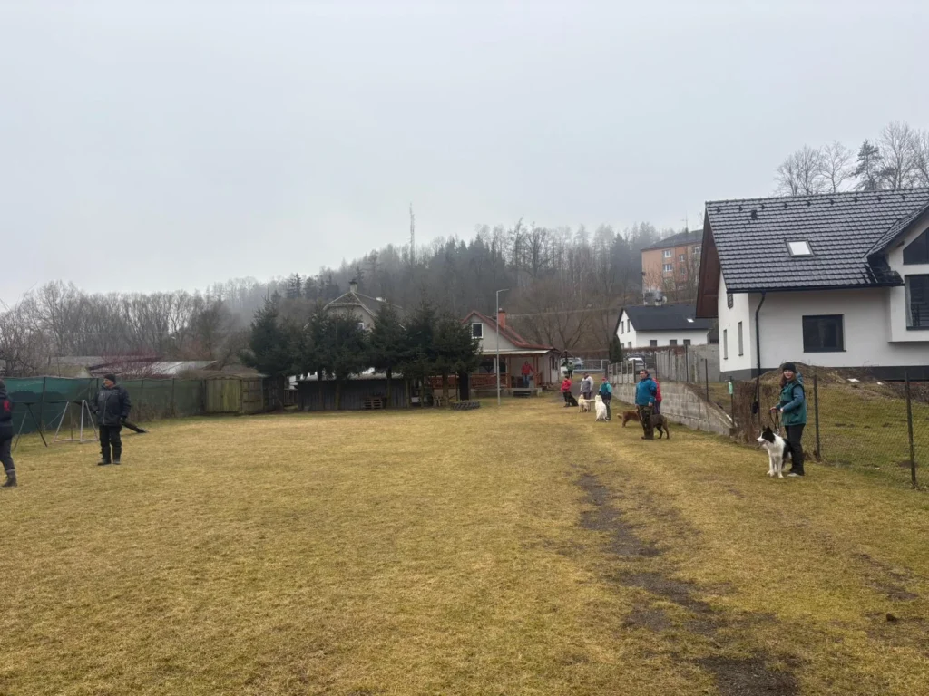 Fotografie ZKO Žamberk